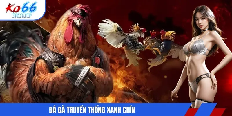 Đá gà truyền thống xanh chín