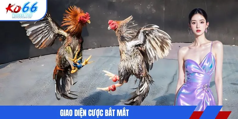 Giao diện cược bắt mắt