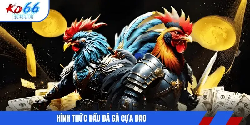 Hình thức đấu đá gà cựa dao