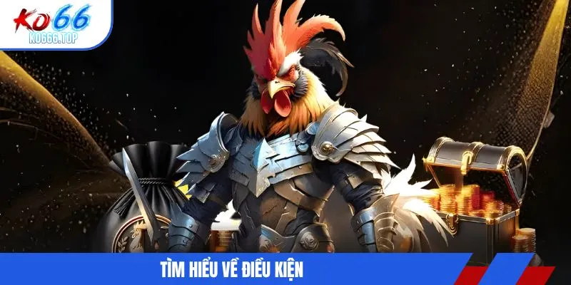 Tìm hiểu về điều kiện